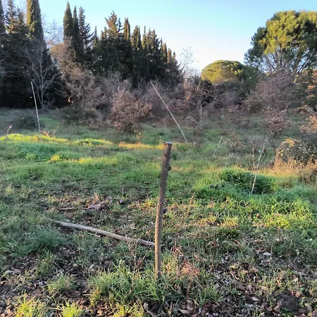 Magnifique Pour Curiste شقة