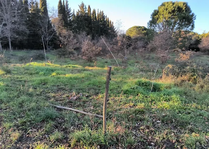 Magnifique Pour Curiste Apartamento